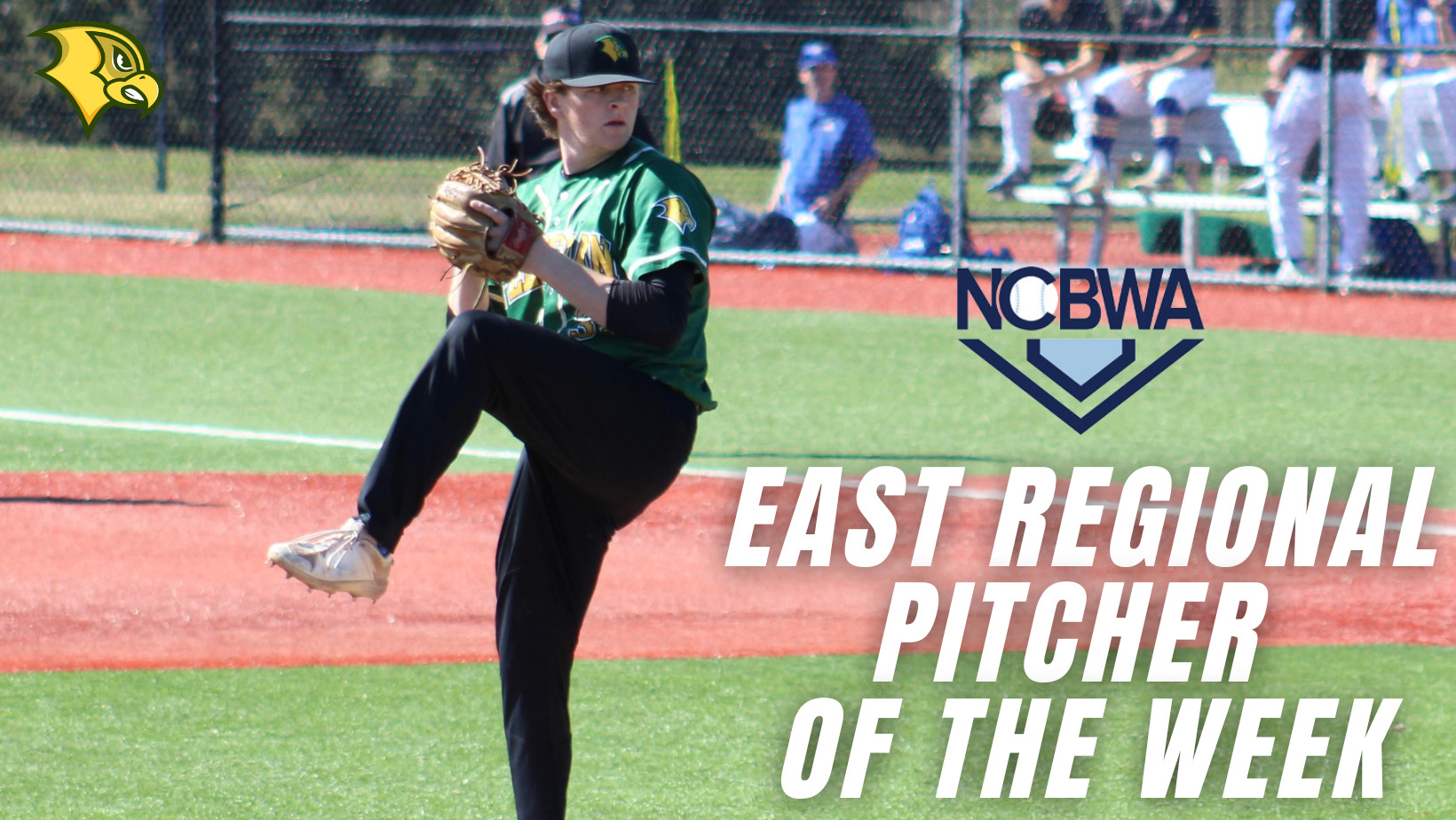Felician Pitcher Selected as NCBWA East Regional Pitcher of the Week