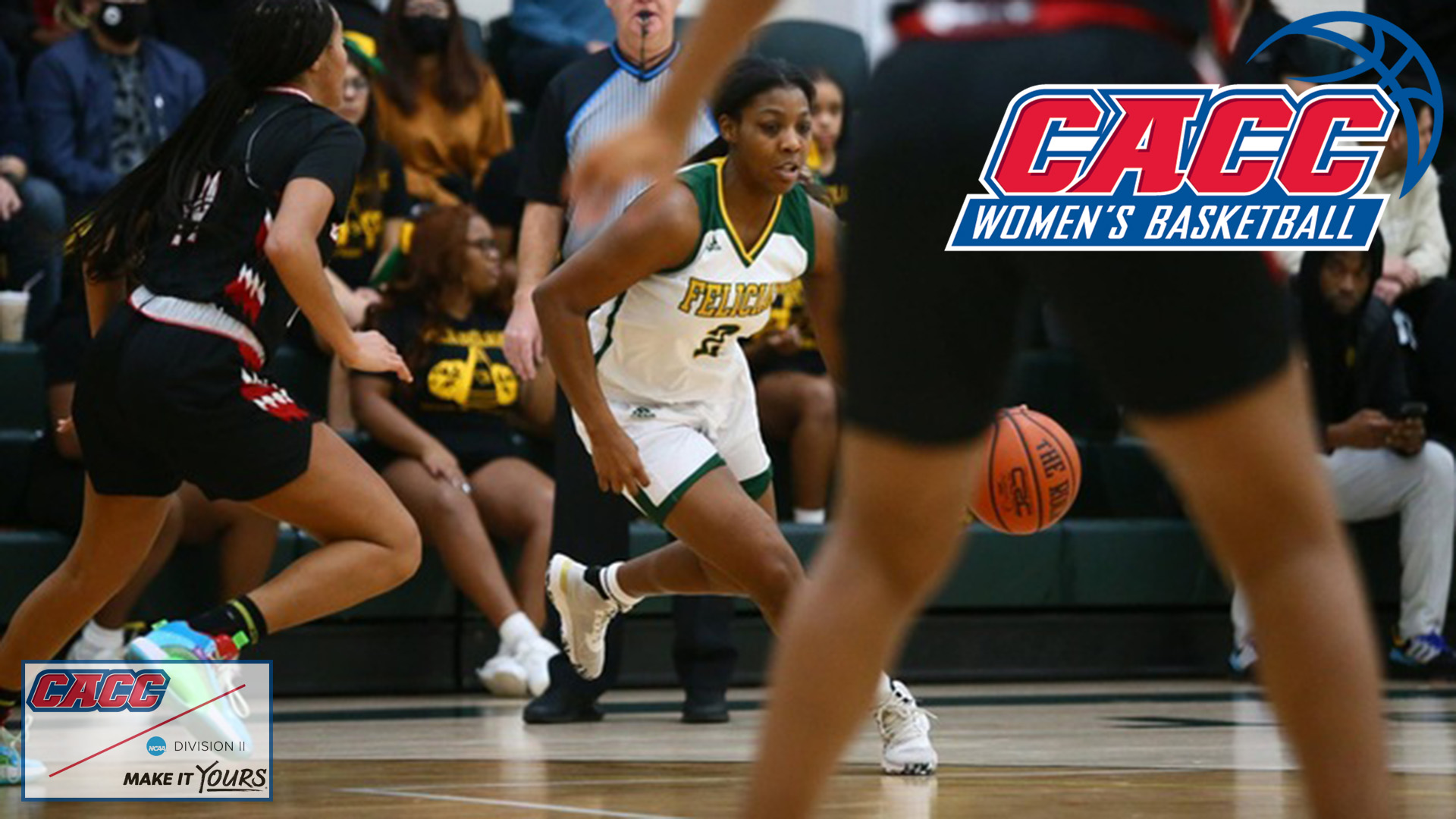 CACC Women's Basketball Weekly Honorees (11-28-22)